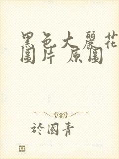 黑色大丽花真实图片 原图