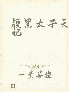 腹黑太子天降萌妃