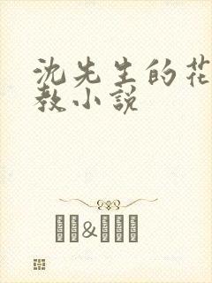 沈先生的花式管教小说