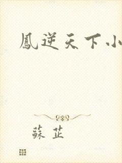 凤逆天下小说