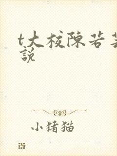 t大校陈若芸小说