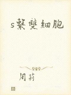 s系双细胞