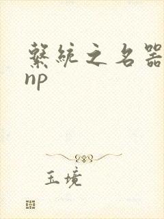 系统之名器攻略np