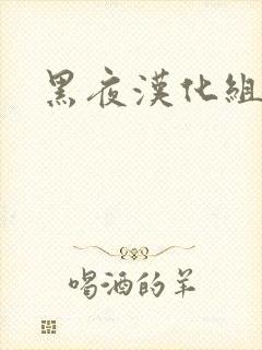 黑夜汉化组