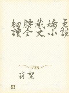 细腰藏娇免费阅读全文小说苏珞浅