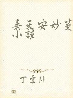 秦天安妙菱修仙小说