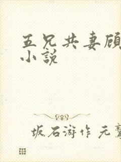 五兄共妻顾心儿小说