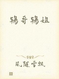 鸨哥鸨姐