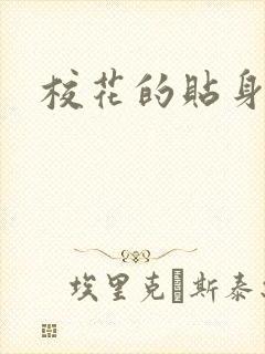 校花的贴身杀手