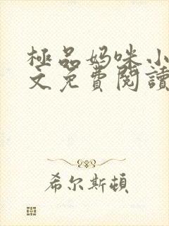 极品妈咪小说全文免费阅读