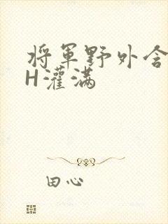 将军野外含公主H灌满