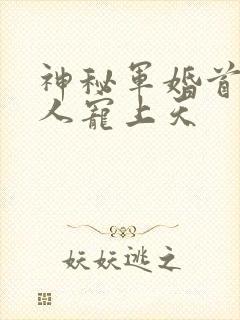 神秘军婚首长大人宠上天