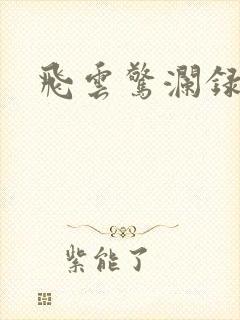 飞云惊澜录