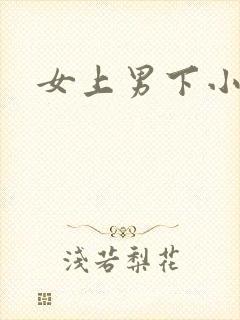 女上男下小说