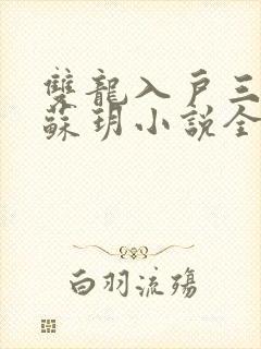 双龙入户三人行苏玥小说全文阅读