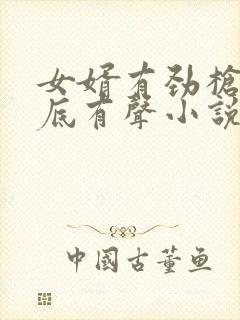 女婿有劲枪枪到底有声小说