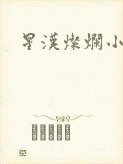 星汉灿烂小说