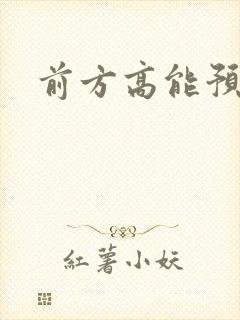 前方高能预警