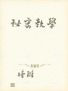 秘密教学