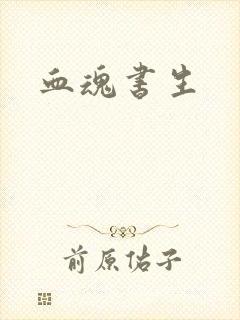 血魂书生