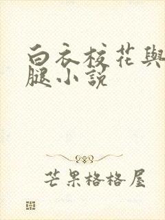 白衣校花与大长腿小说