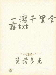 一泻千里金银花露txt