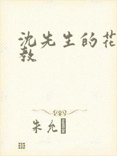 沈先生的花式调教