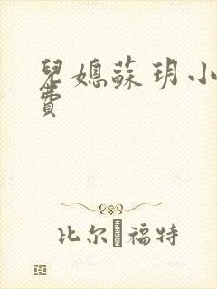 儿媳苏玥小说免费