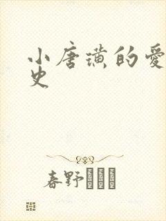 小唐璜的爱情历史