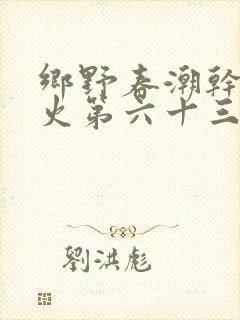 乡野春潮干柴烈火第六十三章