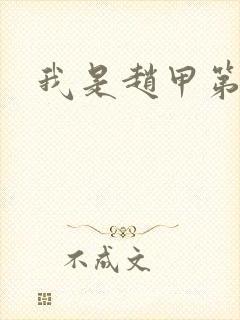 我是赵甲第小说