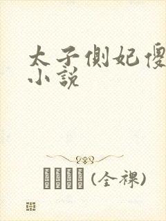 太子侧妃傻乎乎小说