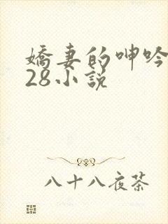 娇妻的呻吟1—28小说