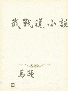 武战道小说