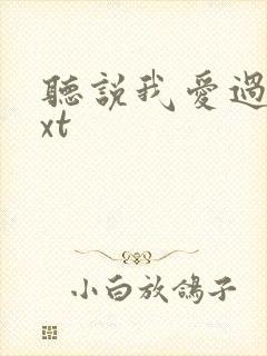 听说我爱过你txt