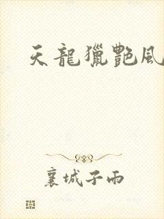 天龙猎艳风流