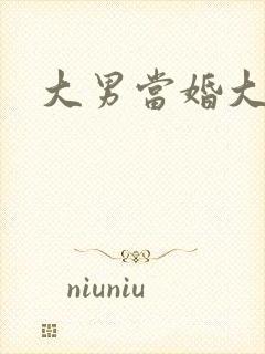 大男当婚大结局