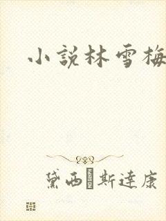 小说林雪梅