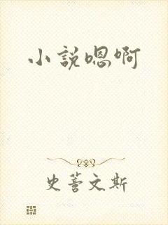 小说嗯啊