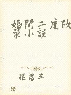 婚开二度欣欣向荣小说