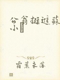 公翁挺进苏玥的小泬