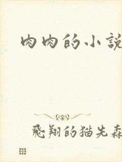 肉肉的小说