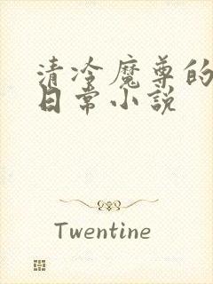 清冷魔尊的抹布日常小说