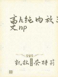 高h纯肉放荡h文np