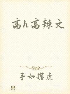 高h高辣文