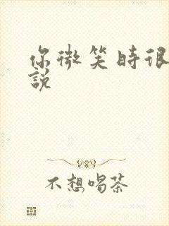 你微笑时很美小说