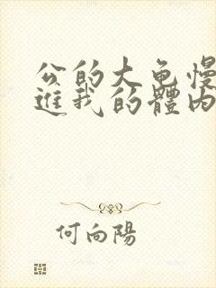 公的大龟慢慢挺进我的体内