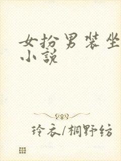 女扮男装坐江山小说