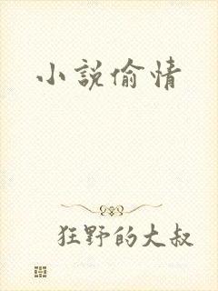 小说偷情