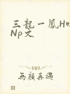 三龙一凤H啪肉Np文